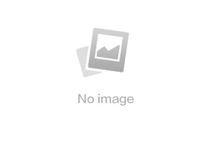 關于本網(wǎng)站極限詞、絕對性用詞失效的聲明